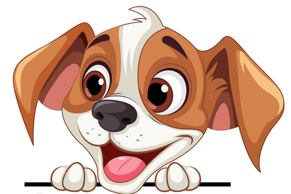 Boutique Mister wouf